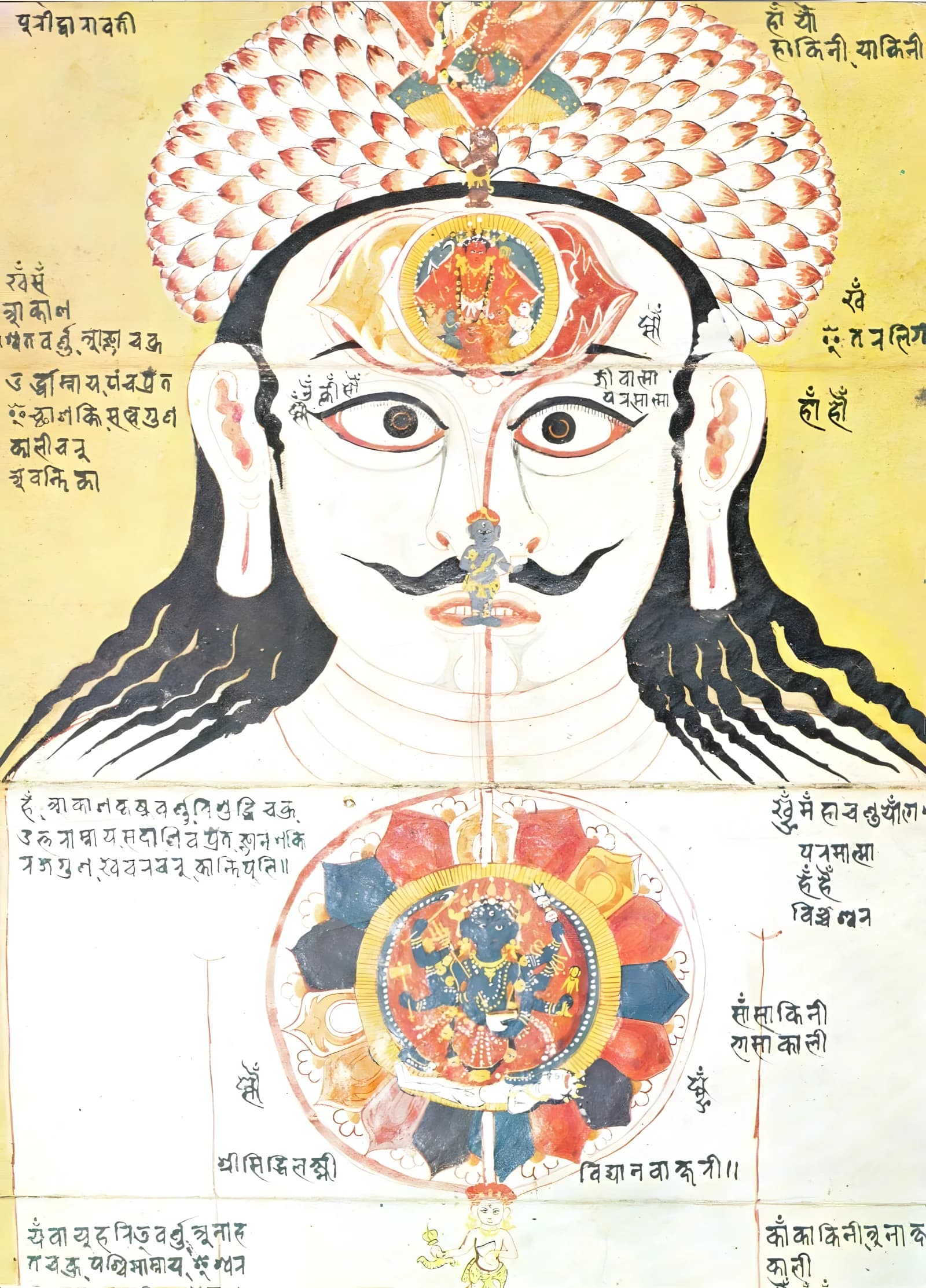 Chakras. Do they exist?