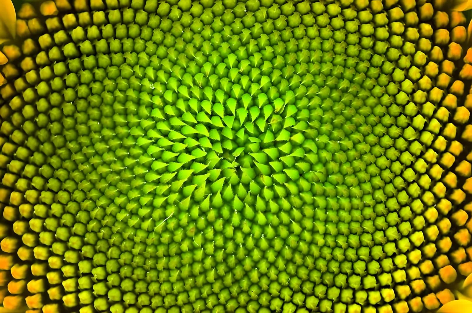 How Subtle Frequencies Influence Our Emotions