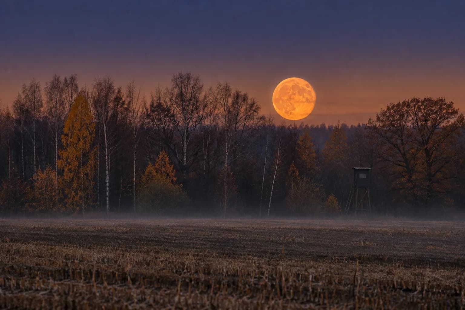Halloween full moon 2026? The Hunter's Moon is on 26 Oct