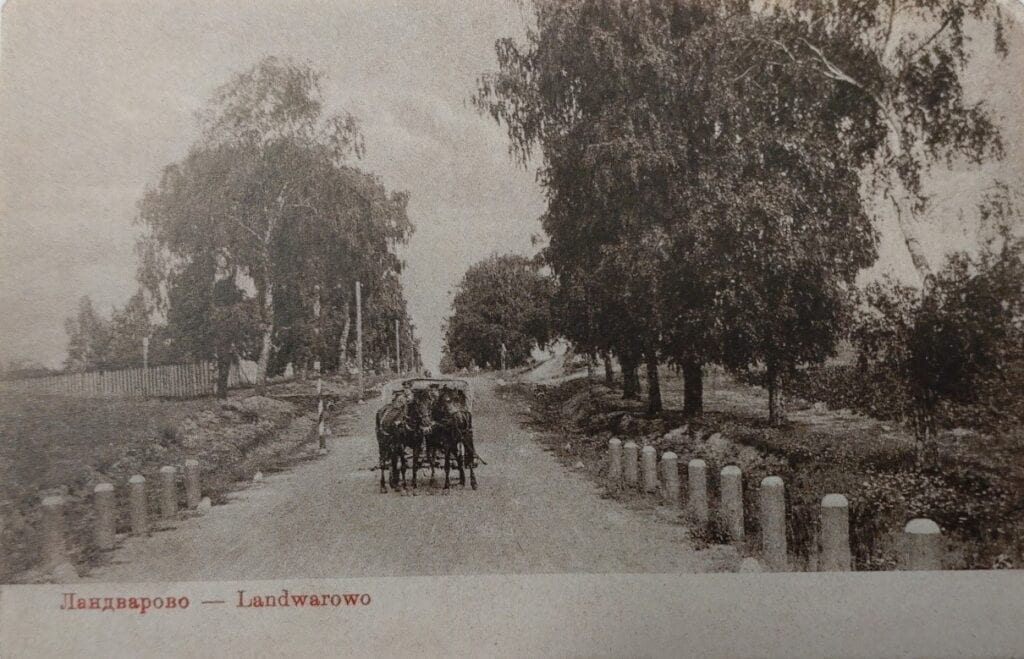 Vintage postcard showing a horse-drawn carriage on a tree-lined dirt road with roadside posts