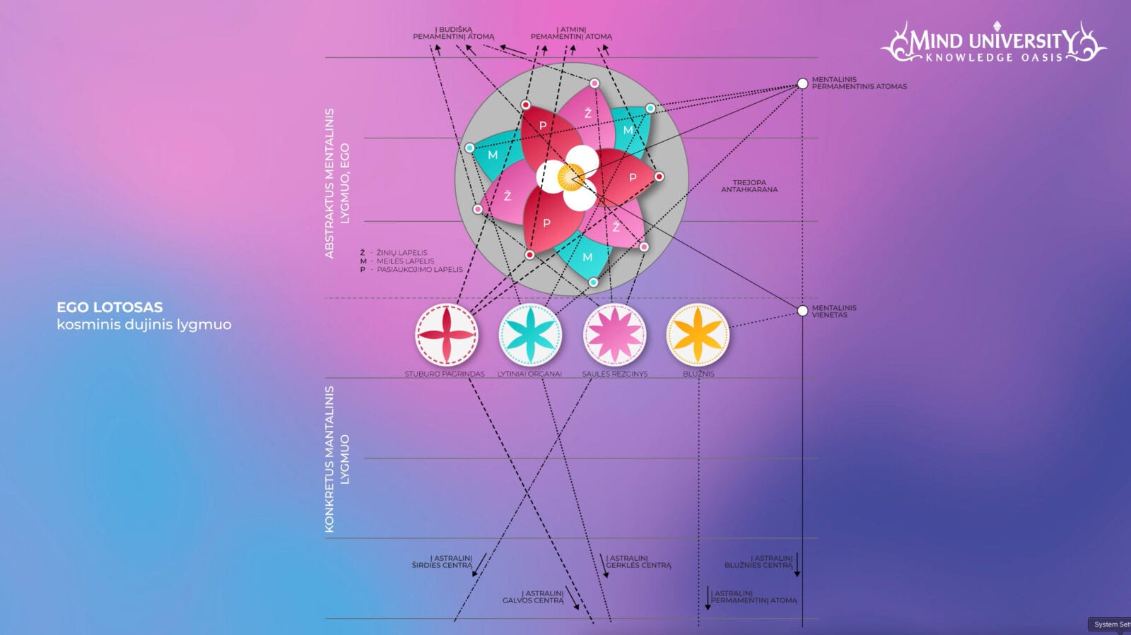 Ego Lotus and Subtle Anatomy Diagram Diagram of the ego lotus with petals, chakra discs and dotted lines linking mental plane levels