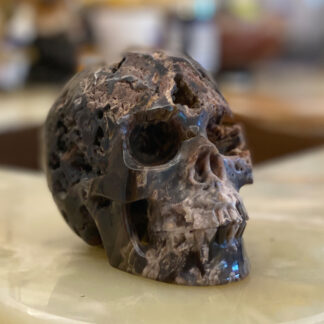 Petrified Wood Skull