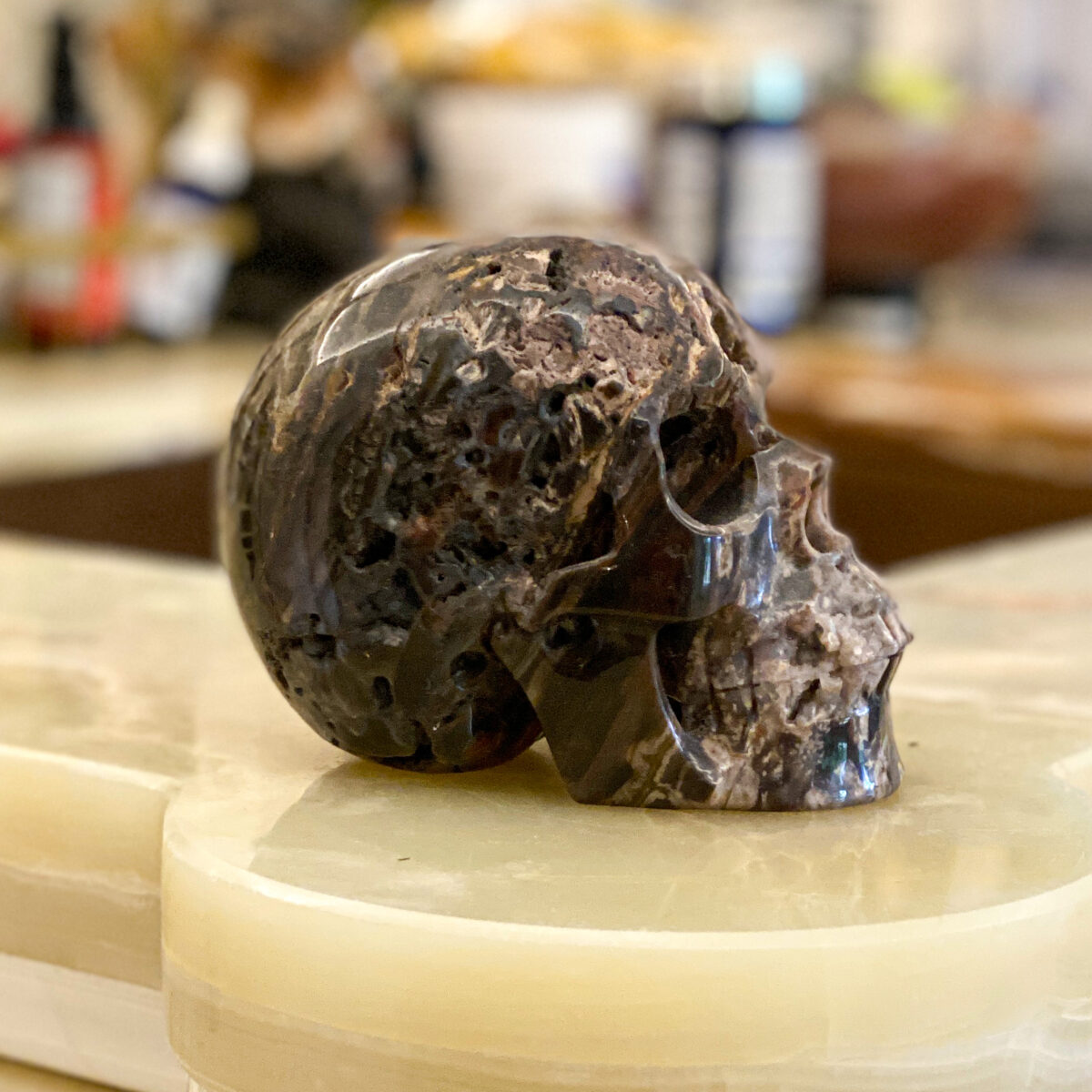 Petrified Wood Skull - Image 2