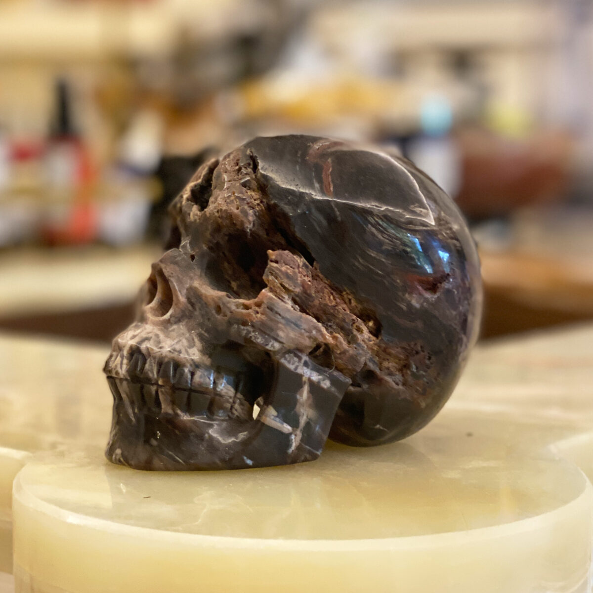 Petrified Wood Skull - Image 3