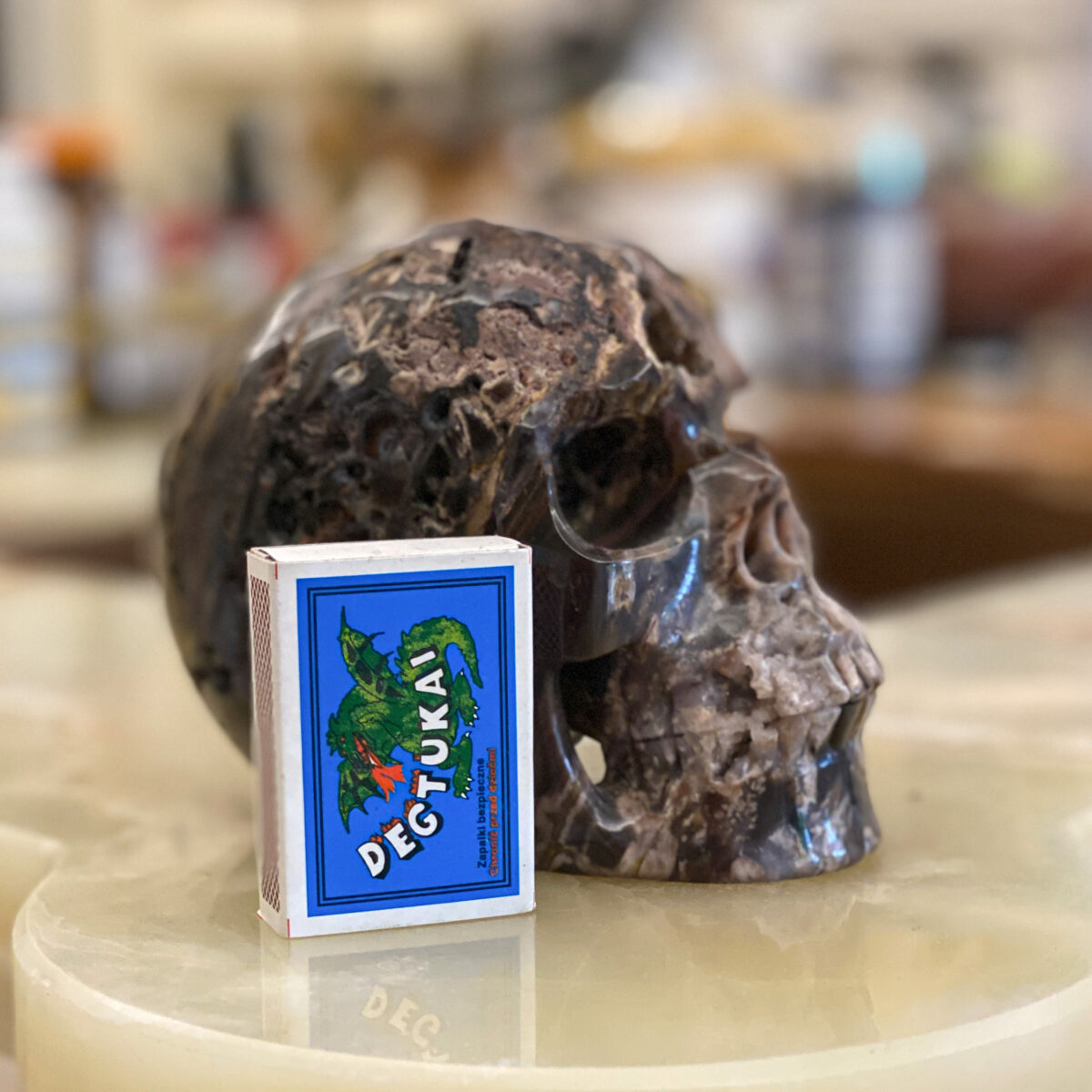 Petrified Wood Skull - Image 4