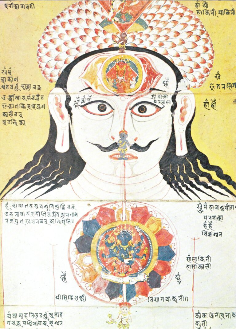 Chakras. Do they exist?