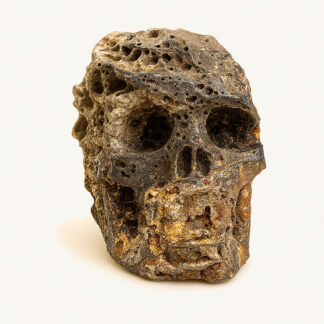 Fluorite geode Skull