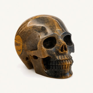 Tiger Eye Skull